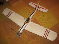 Flugkuh